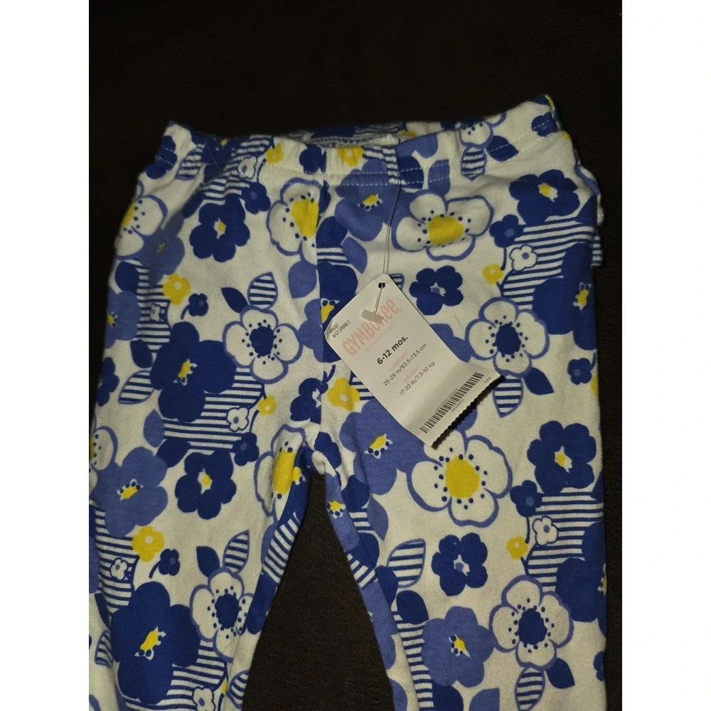 Gymboree months free nwt