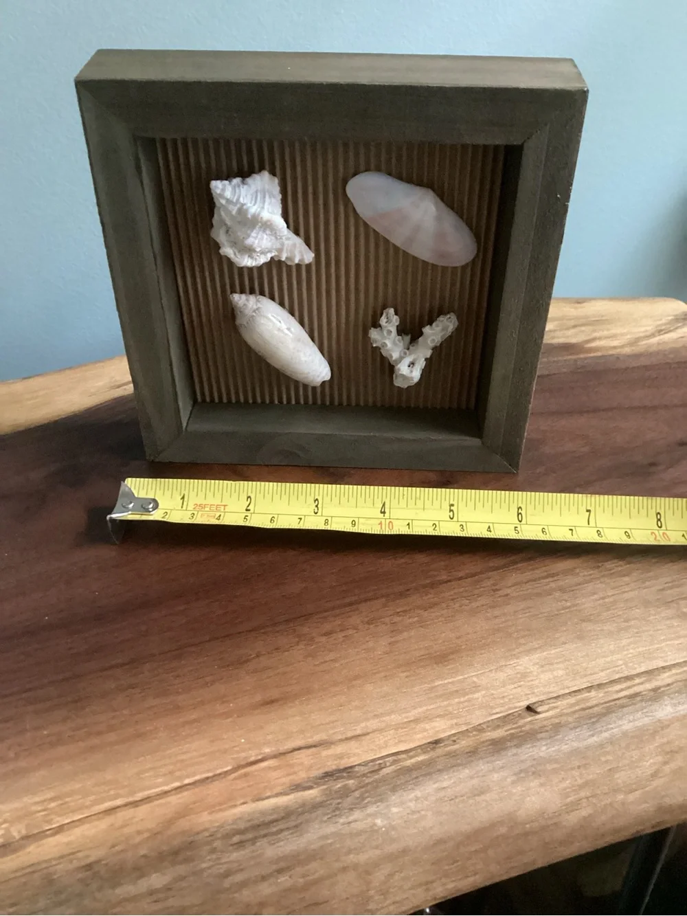 Neutral Color Shell Shadow Box Art - Home Accents