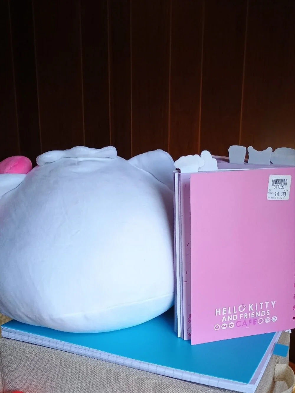 NWT Sanrio Hello Kitty 5pc Pink Plush Cushion HugMees Journal & Nails Lot