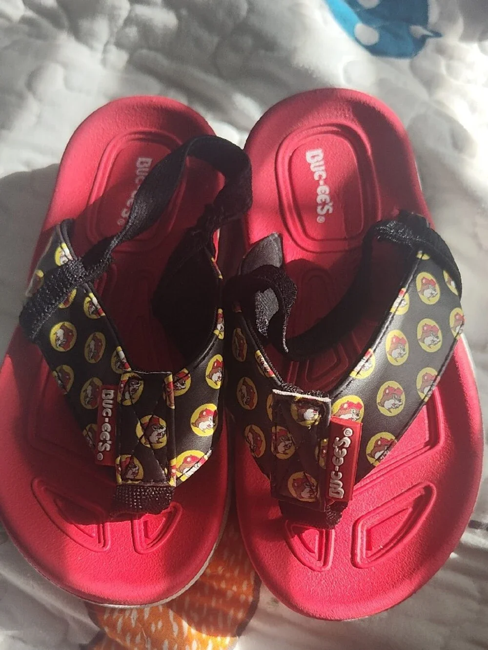 BUC-EES buc ees