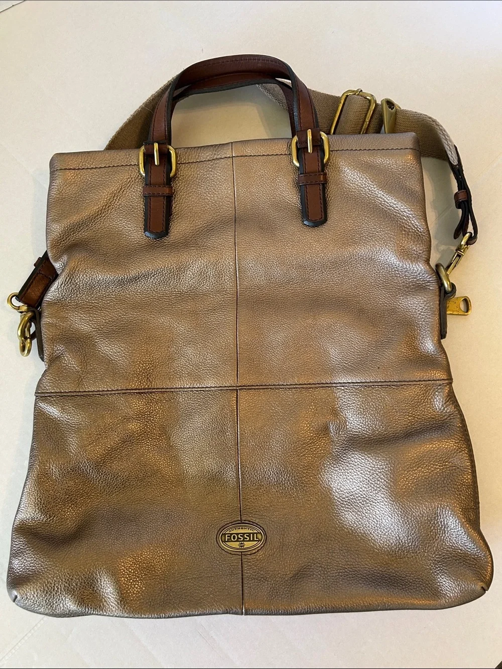Fossil large bronze