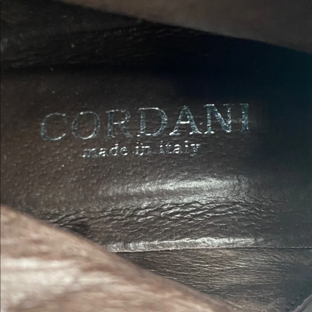 Cordani sleek stylish