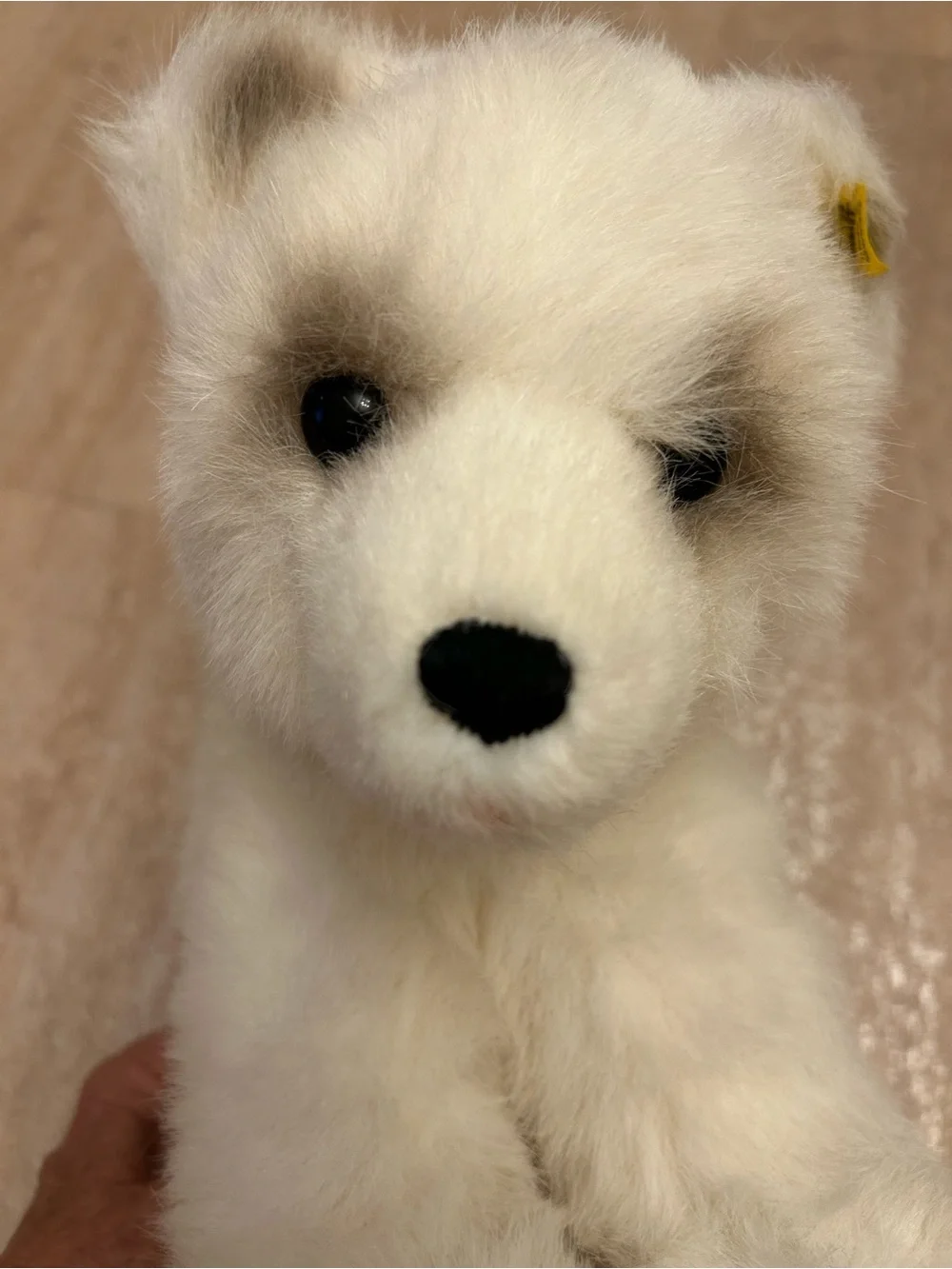 N/A soft white