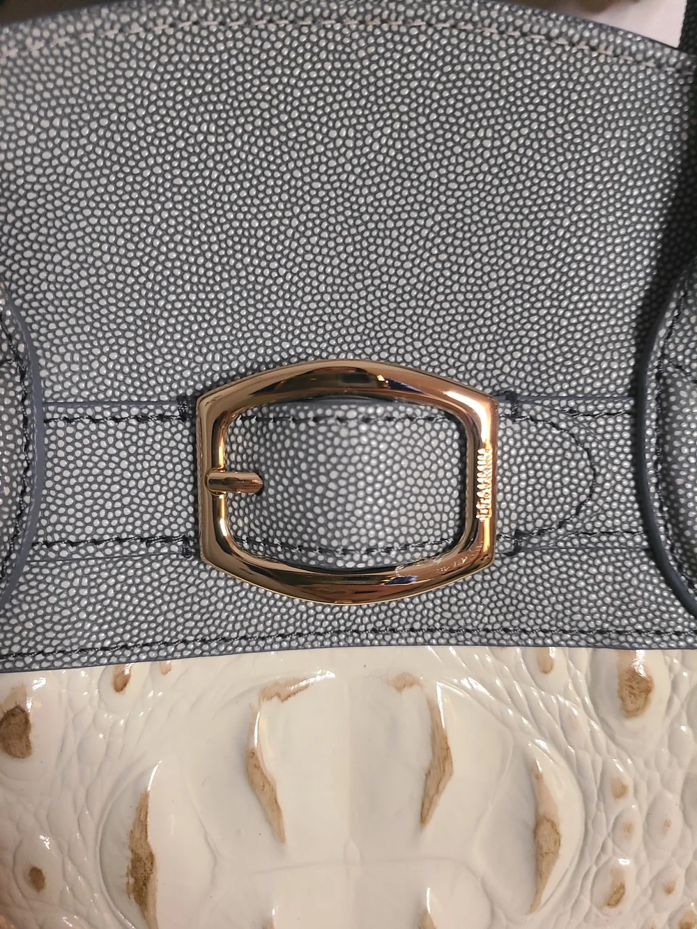 Brahmin chic women’s