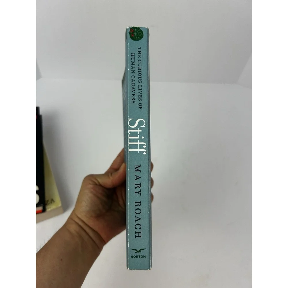 The Unbranded Brand stiff curious