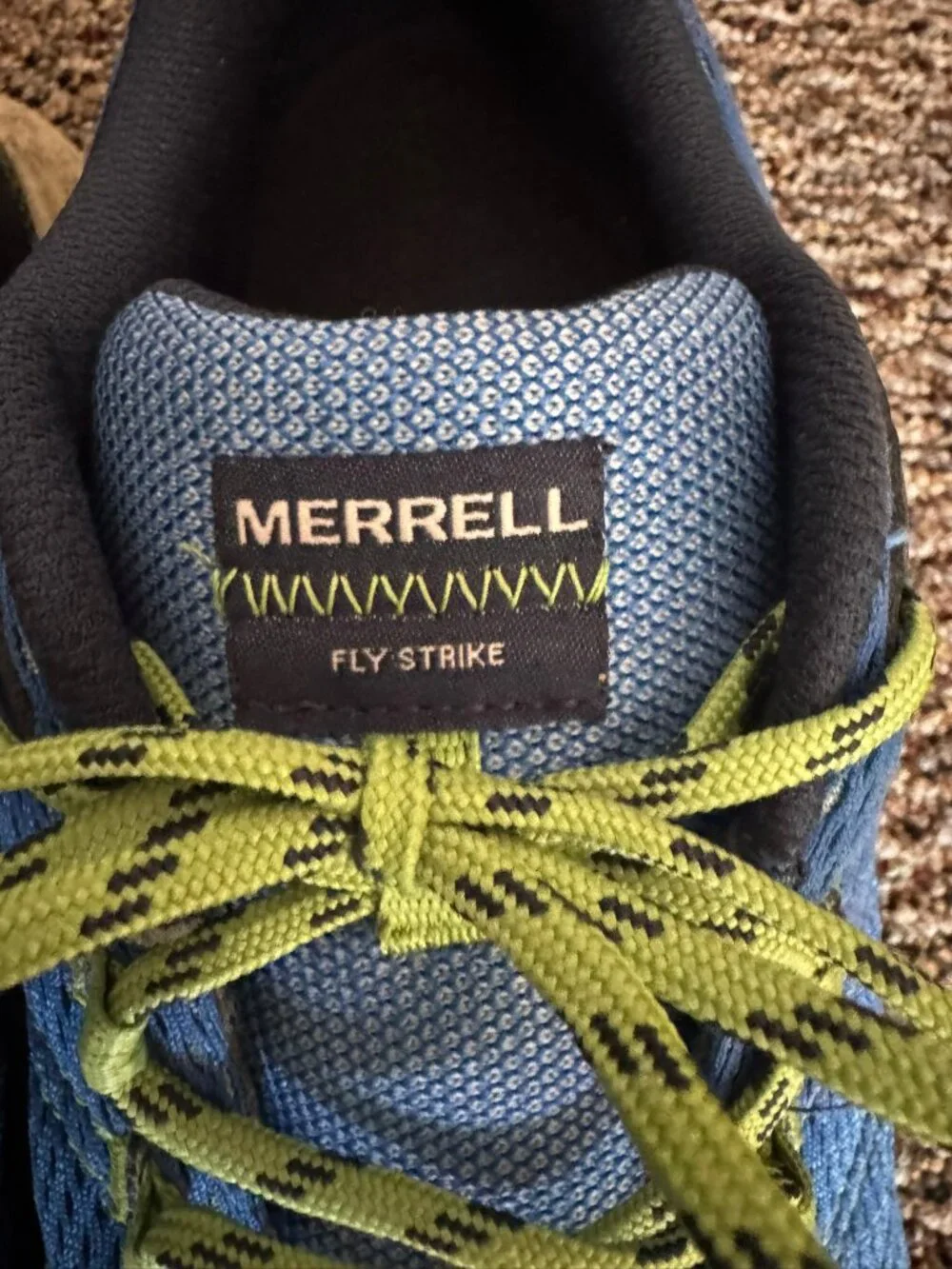 Merrell fly strike