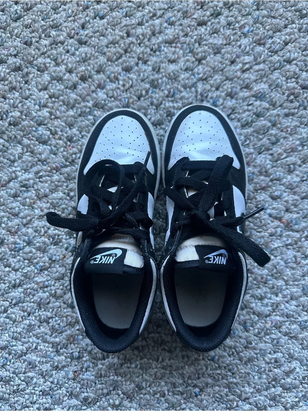 Kids Low Top Nike Dunks