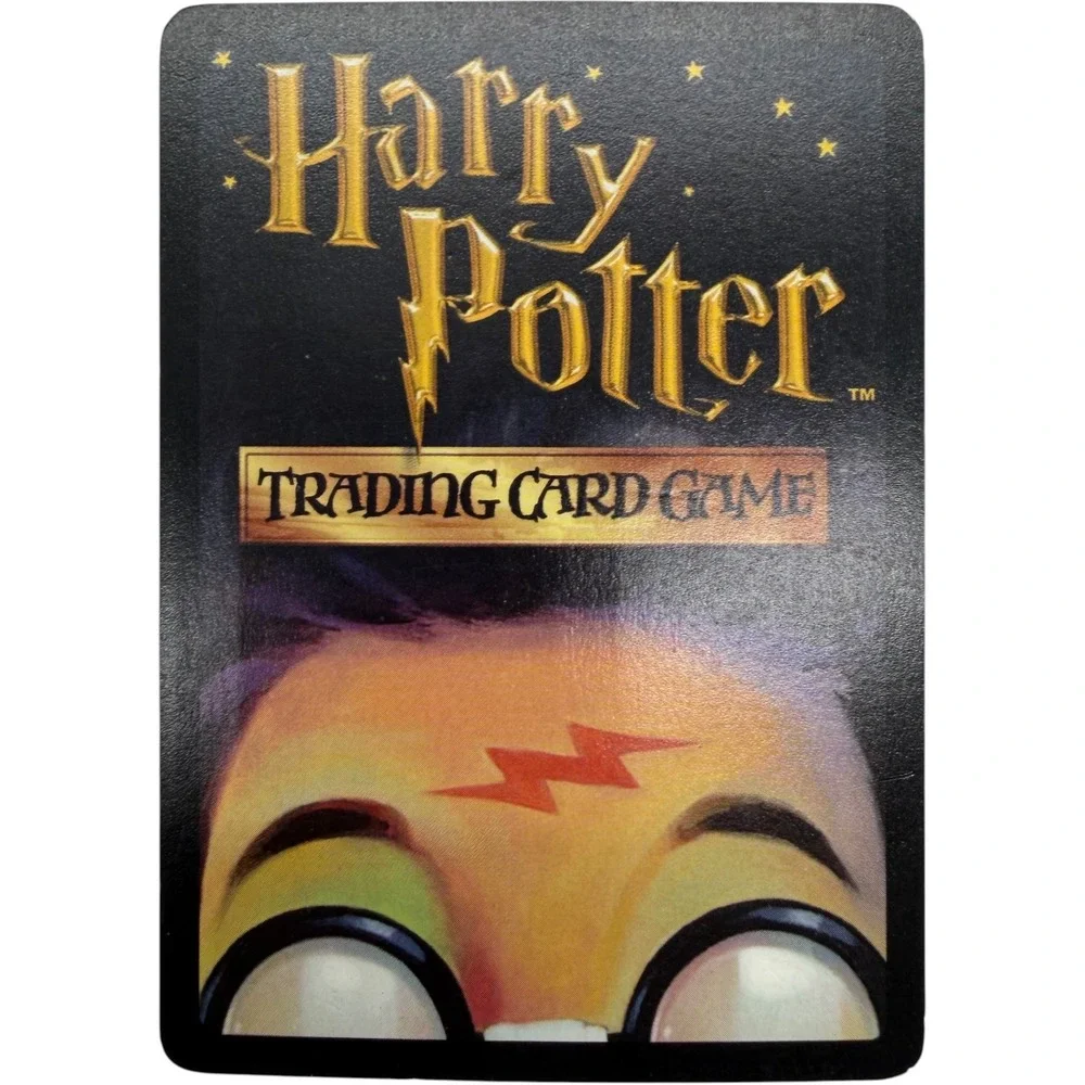 Wizards Of The Coast this harry