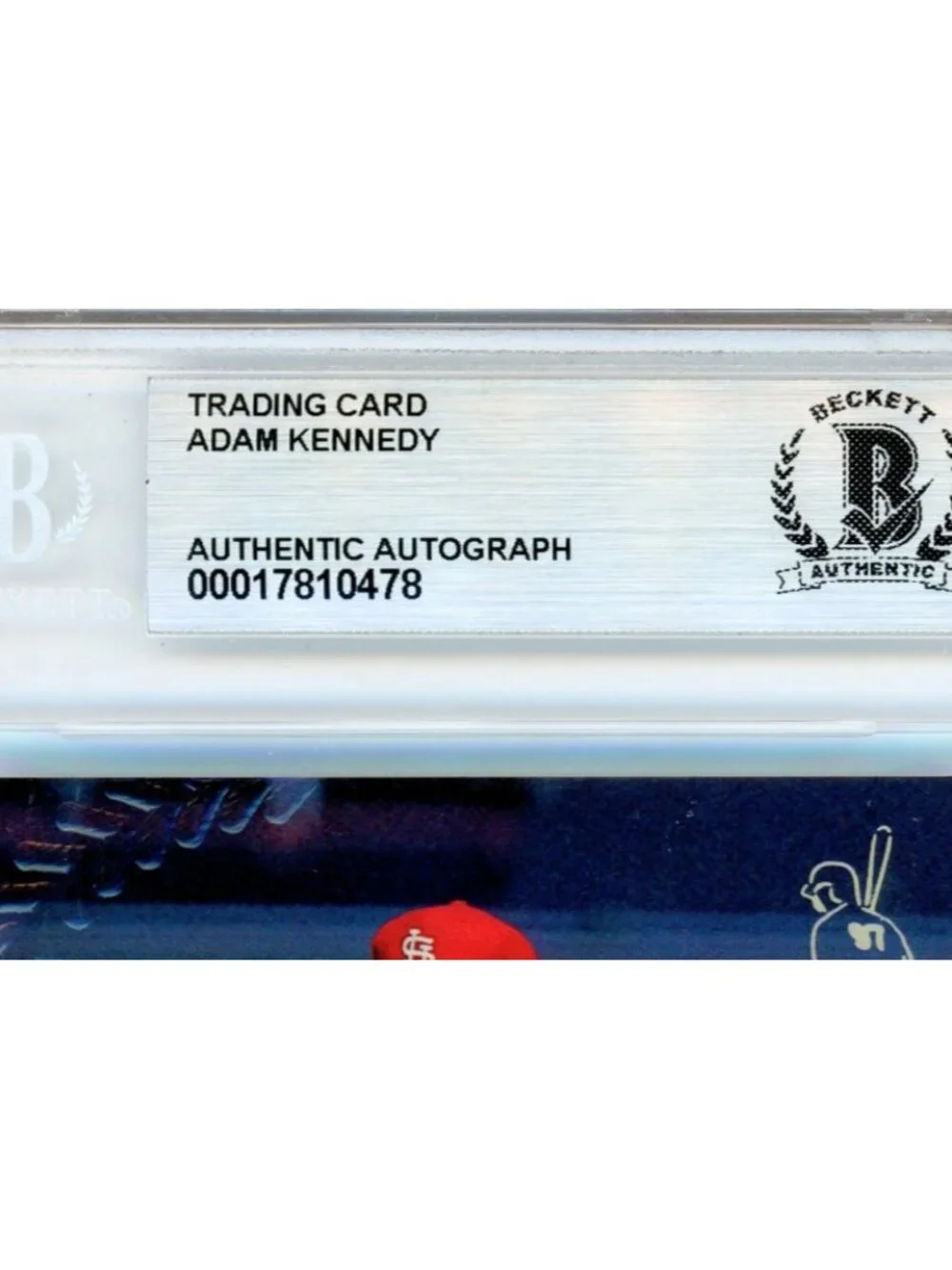 Adam Kennedy Signed 1998 Stadium Club #393 Card Slabbed Cardinals