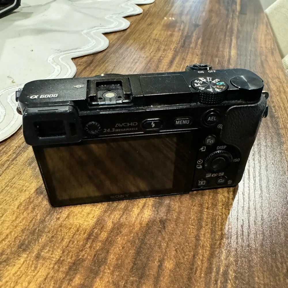 Sony compact alpha