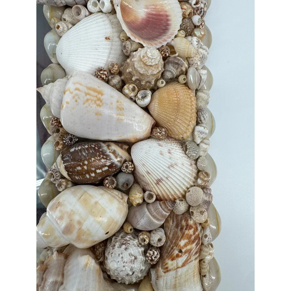 Seashell Picture Frame 16x13.5 OS Tan Nautical Coastal Mosaic Beach‎ Summer