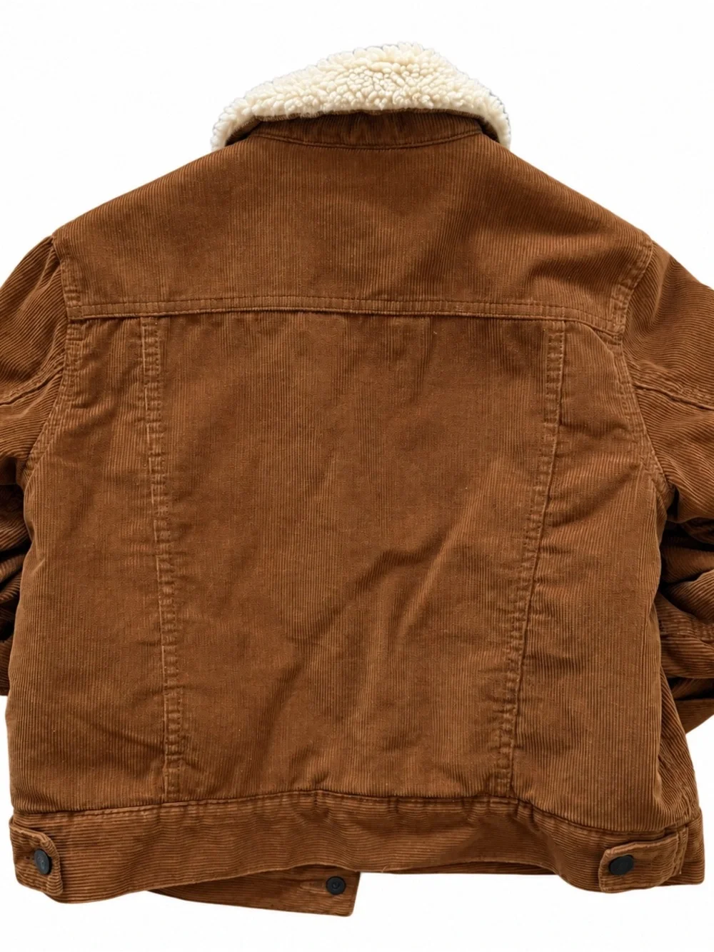 GAP collar layer cozy