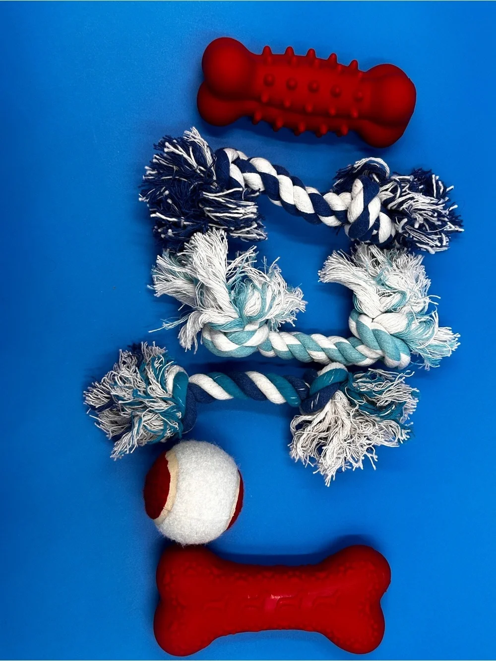 Red Dog Chew Toys & Rope Set