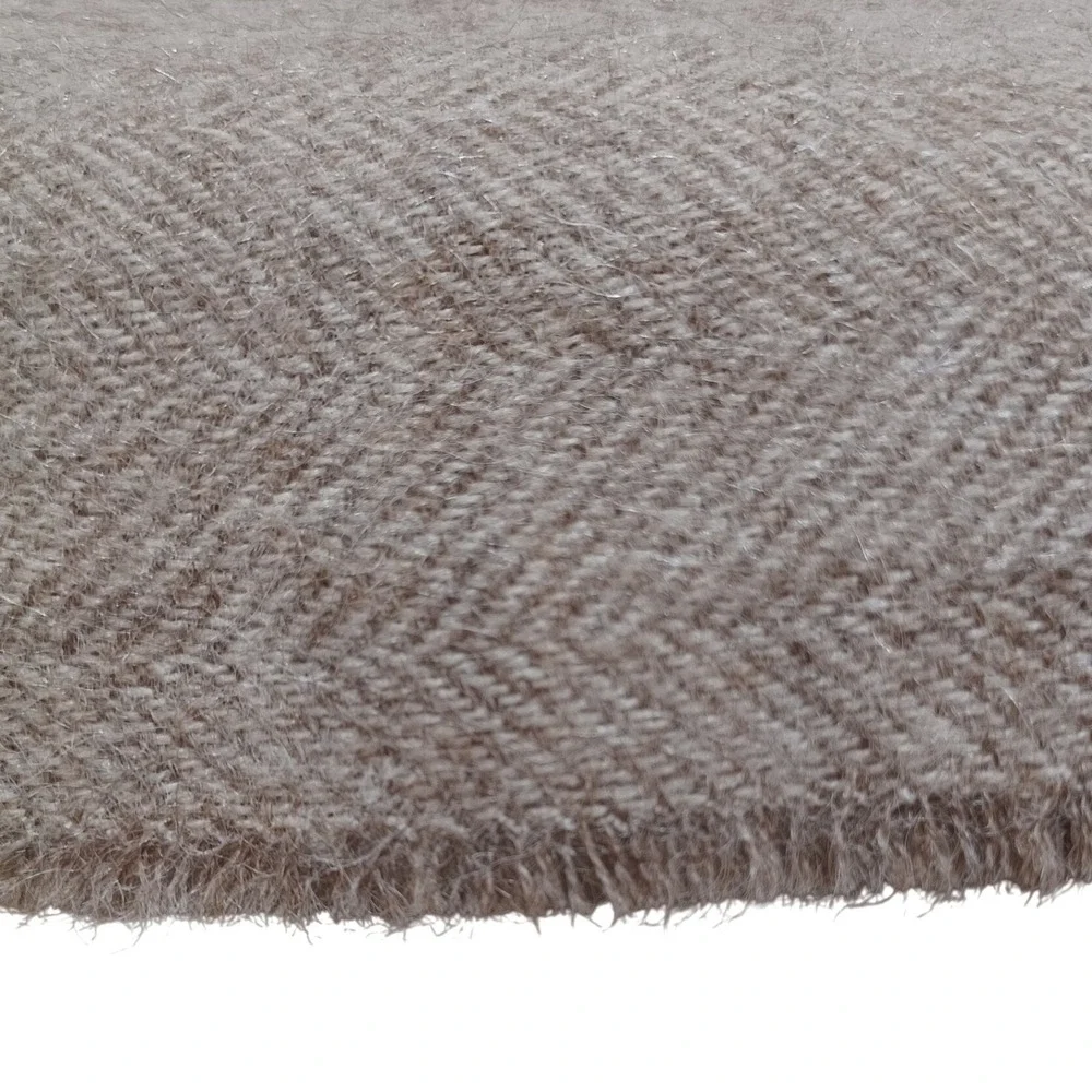 Alicia Adams Alpaca alicia adams