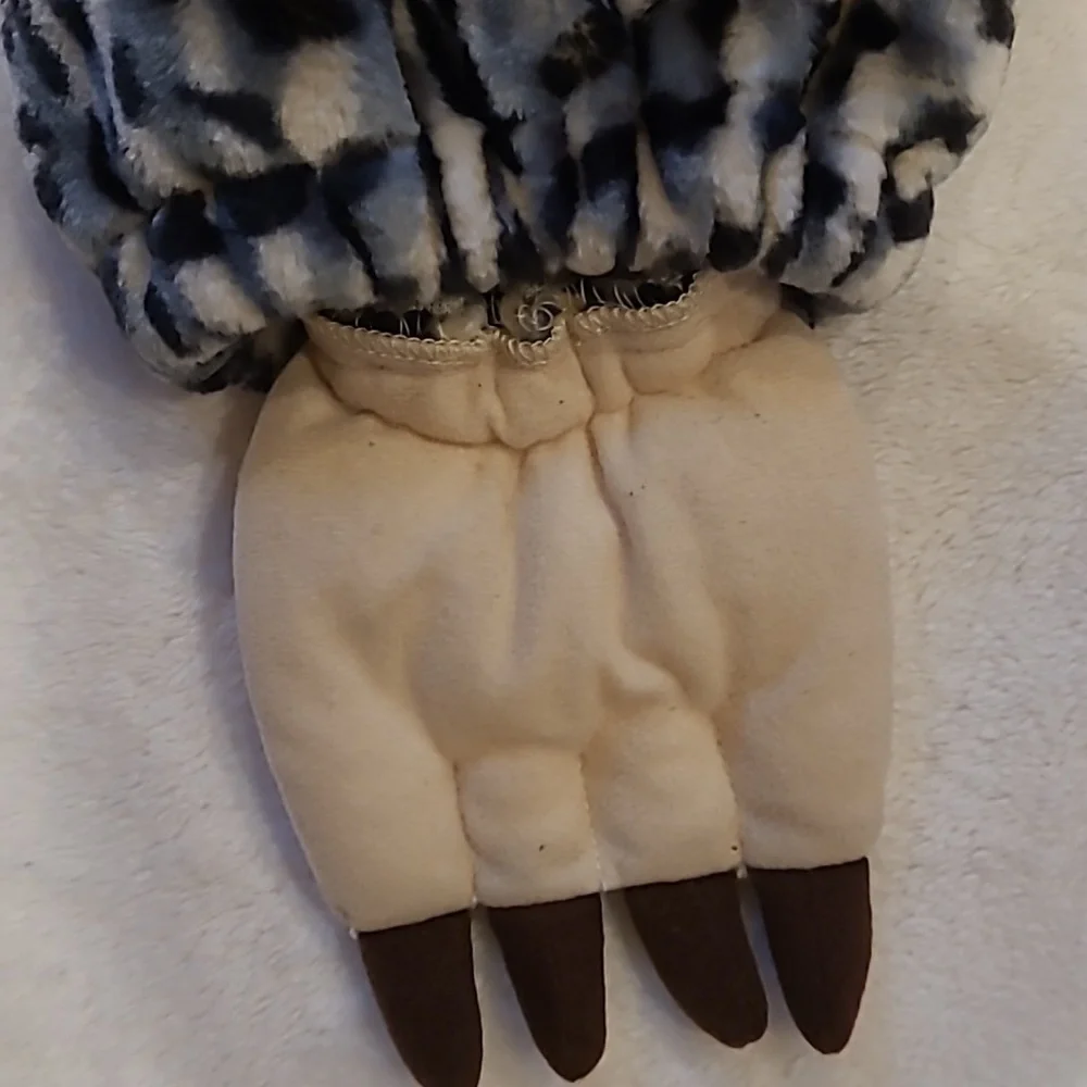 Chosun this leopard