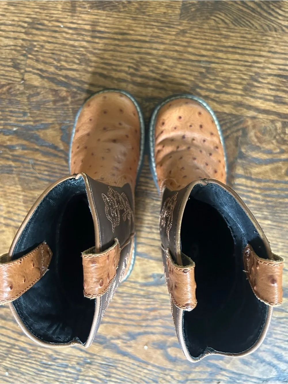 Ariat Fat Baby questions leave