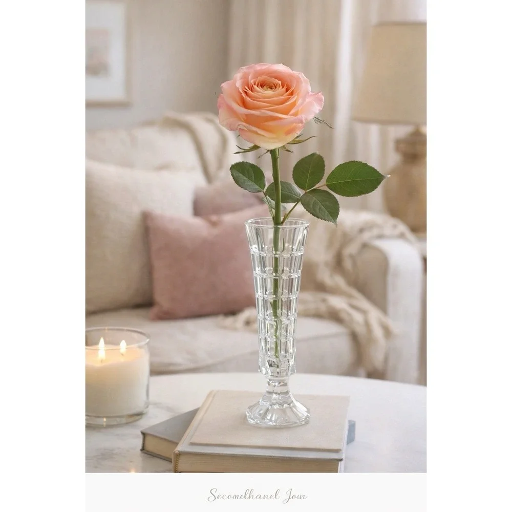 DArques Cheverny elegant timeless