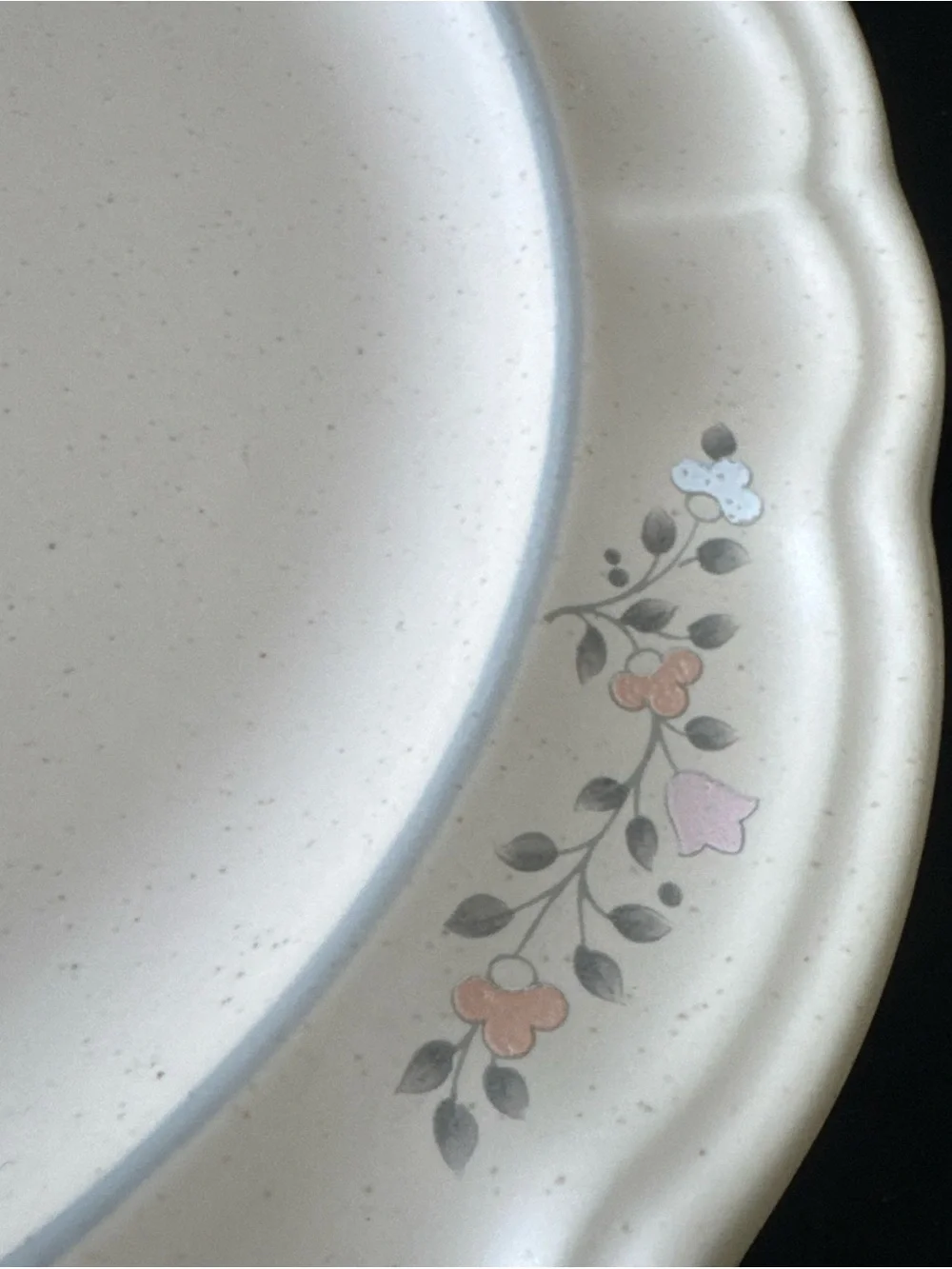 Pfaltzgraff Remembrance USA Stoneware 10.25