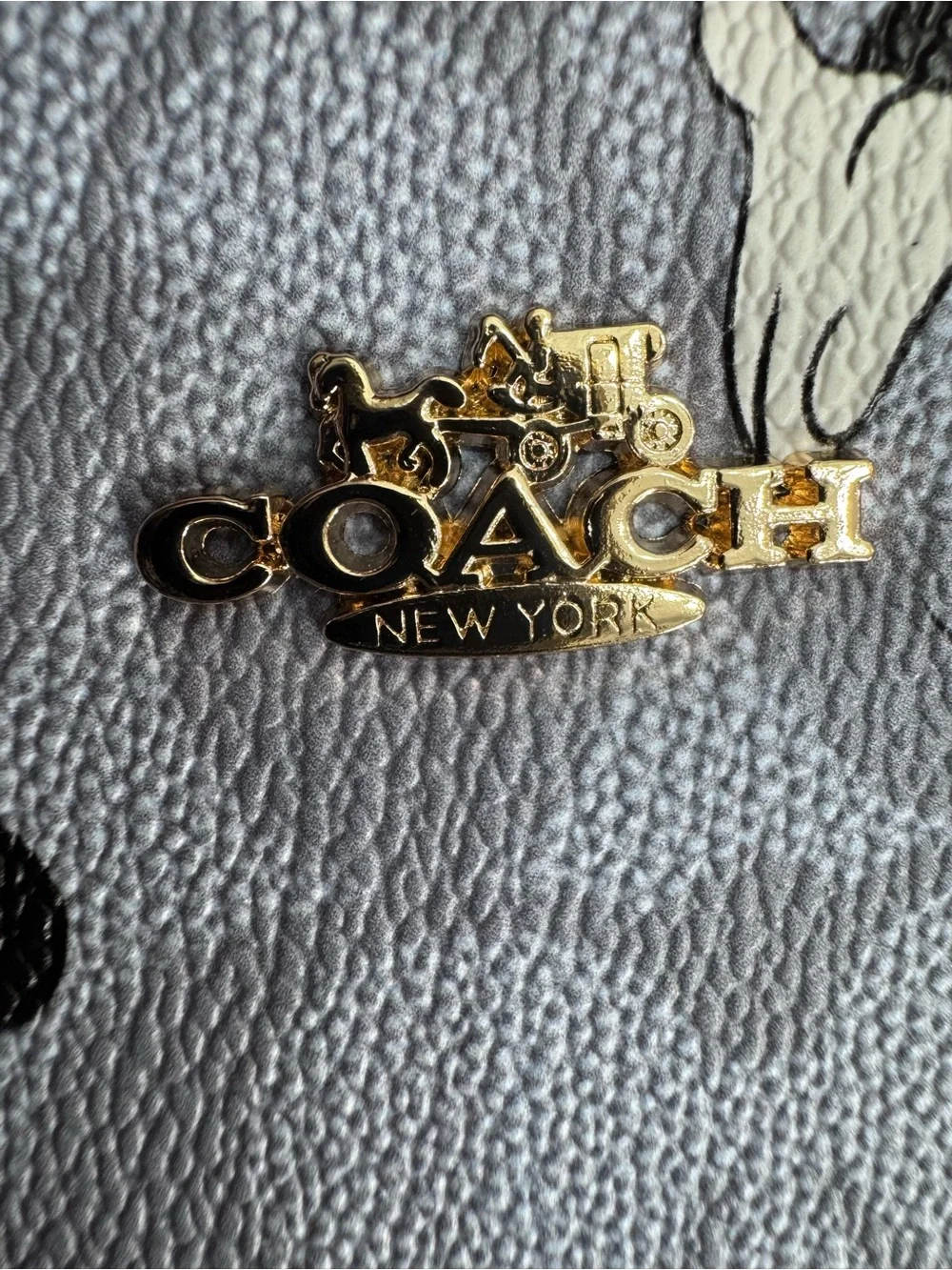 Coach playful kids