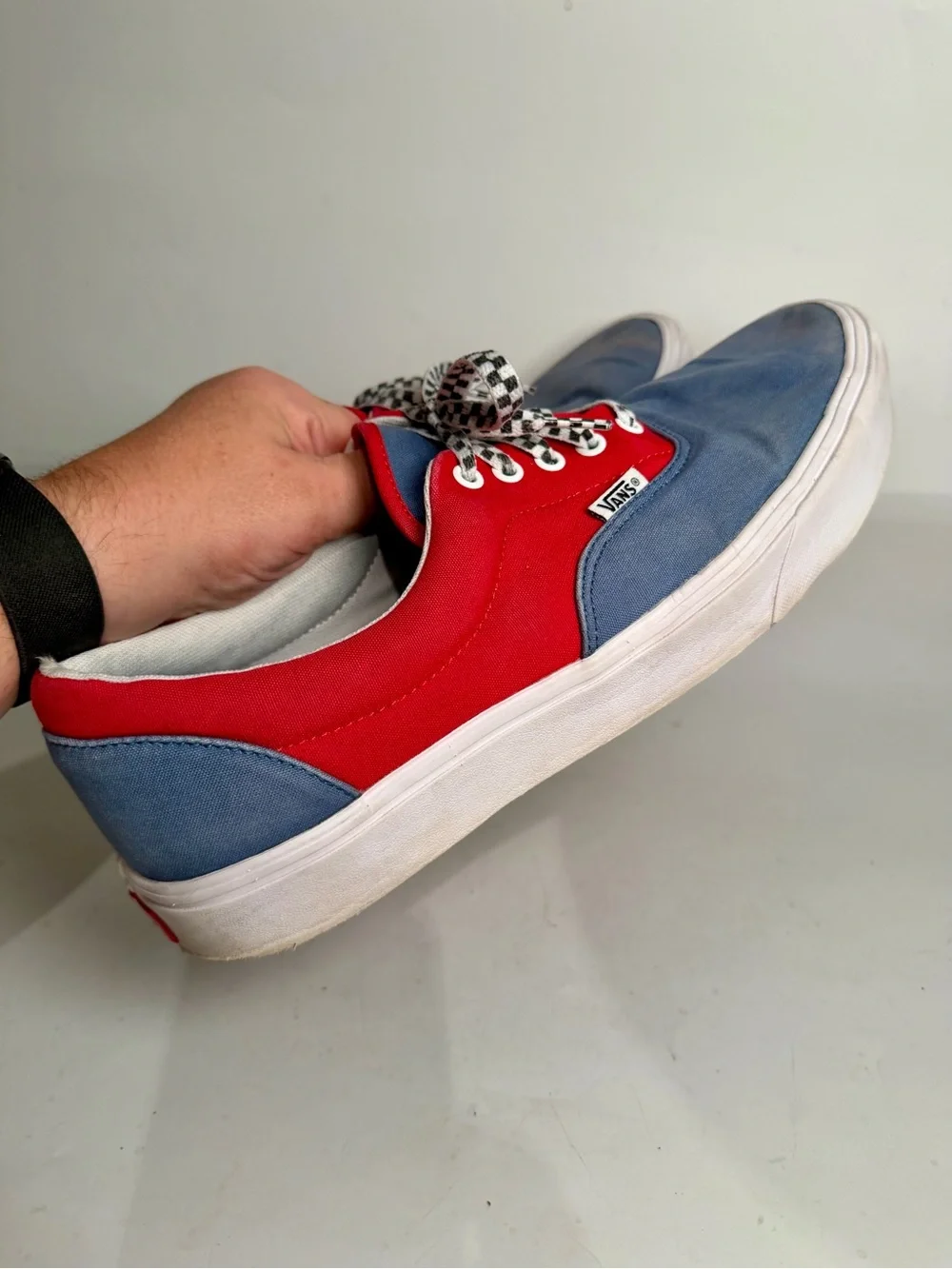 Vans sized home clean
