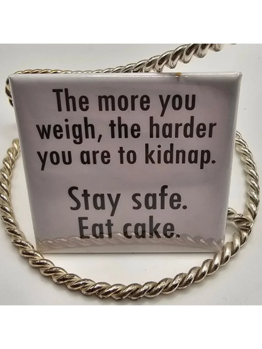 Funny Refrigerator Magnet With 