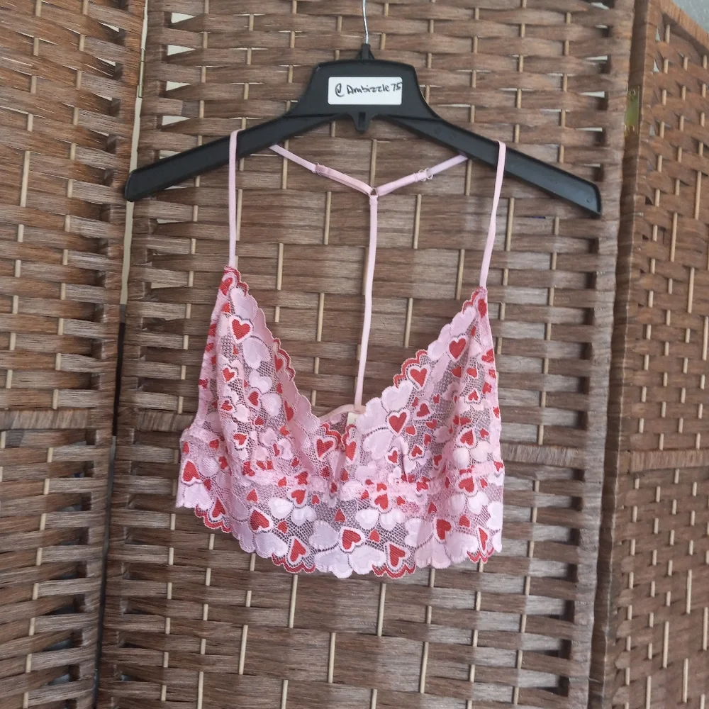 Dreamgirl nwt pc