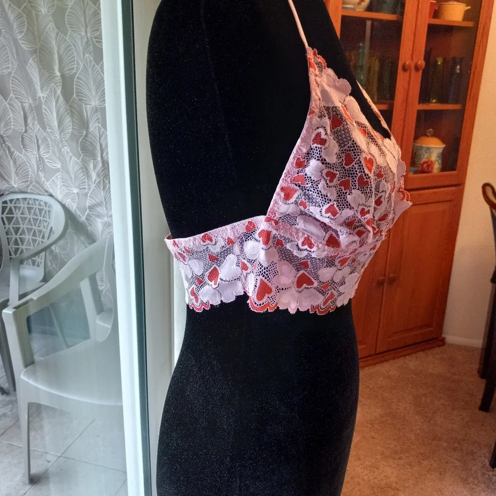 Dreamgirl nwt pc
