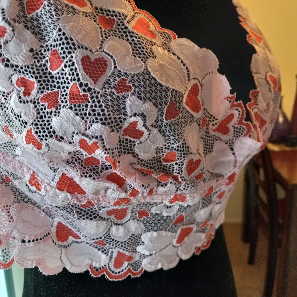 Dreamgirl nwt pc