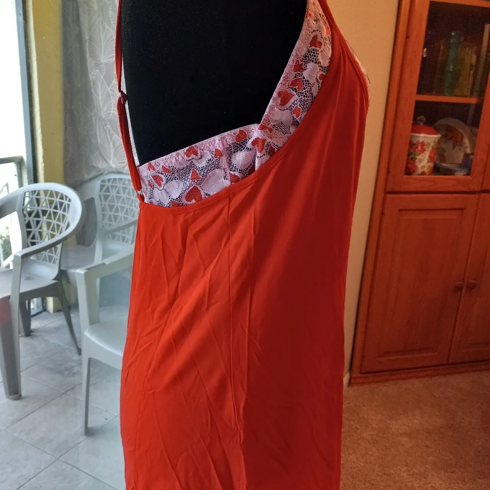 Dreamgirl nwt pc