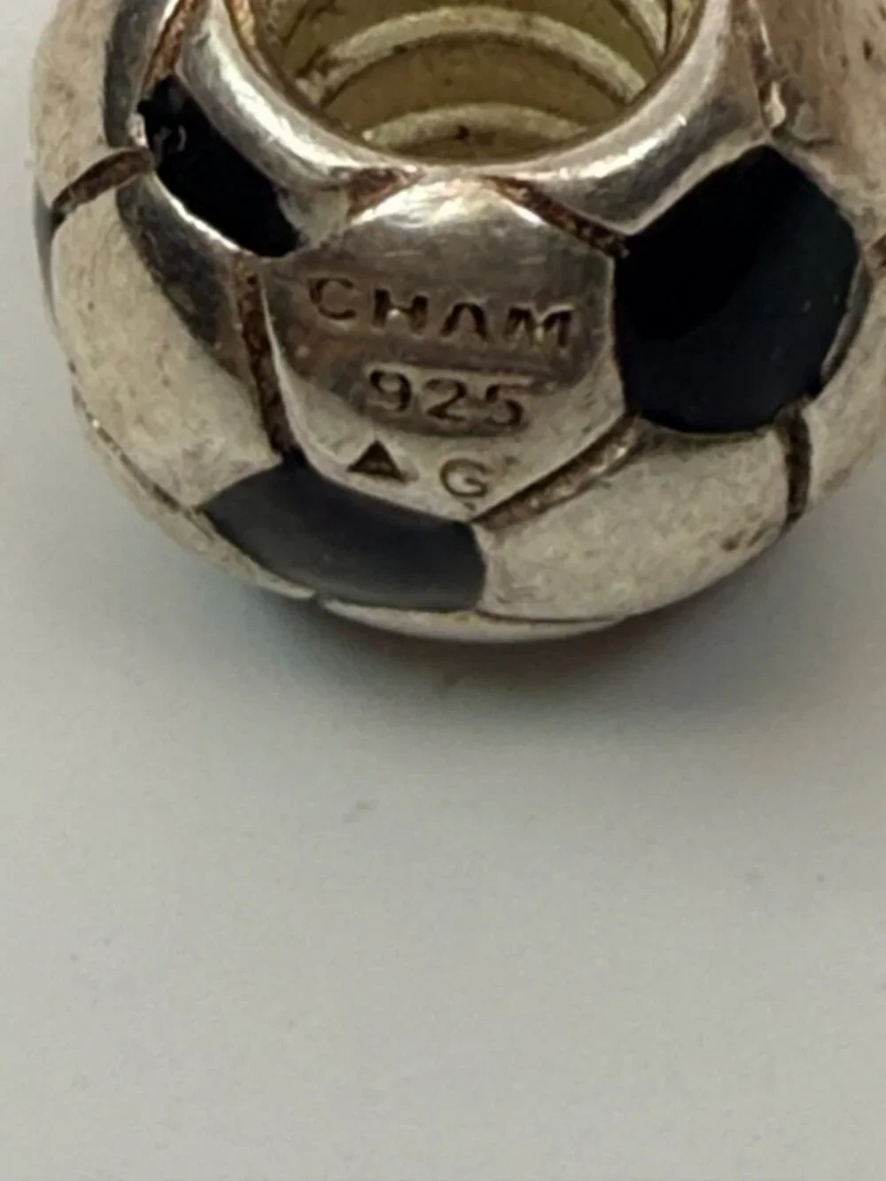 Chamilia remains as description
