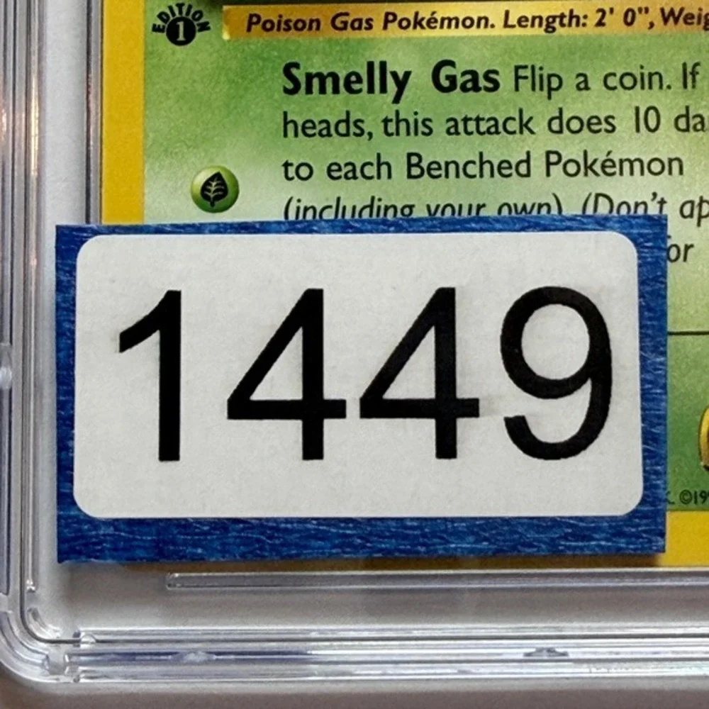 Pokémon koga slab type