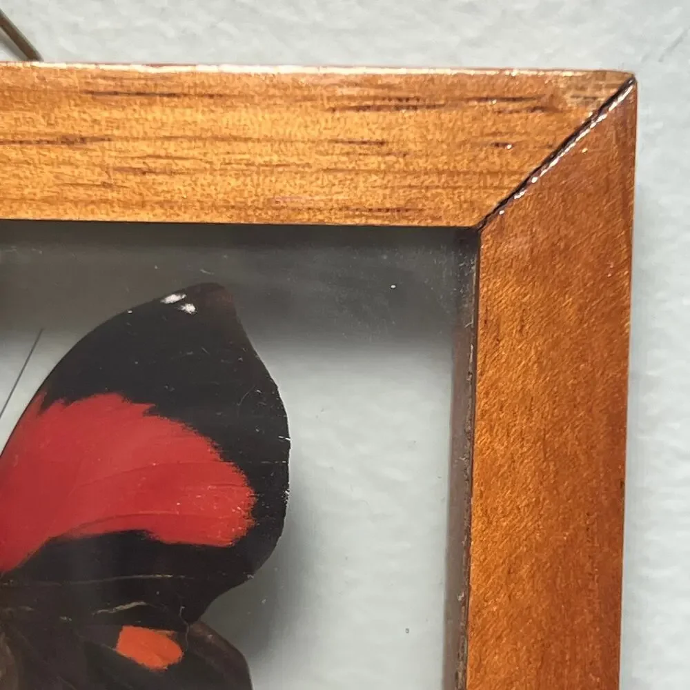 Vintage pre entomology era