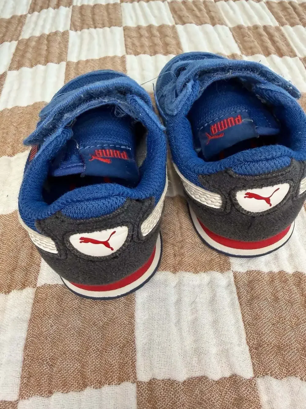 Puma blue mesh