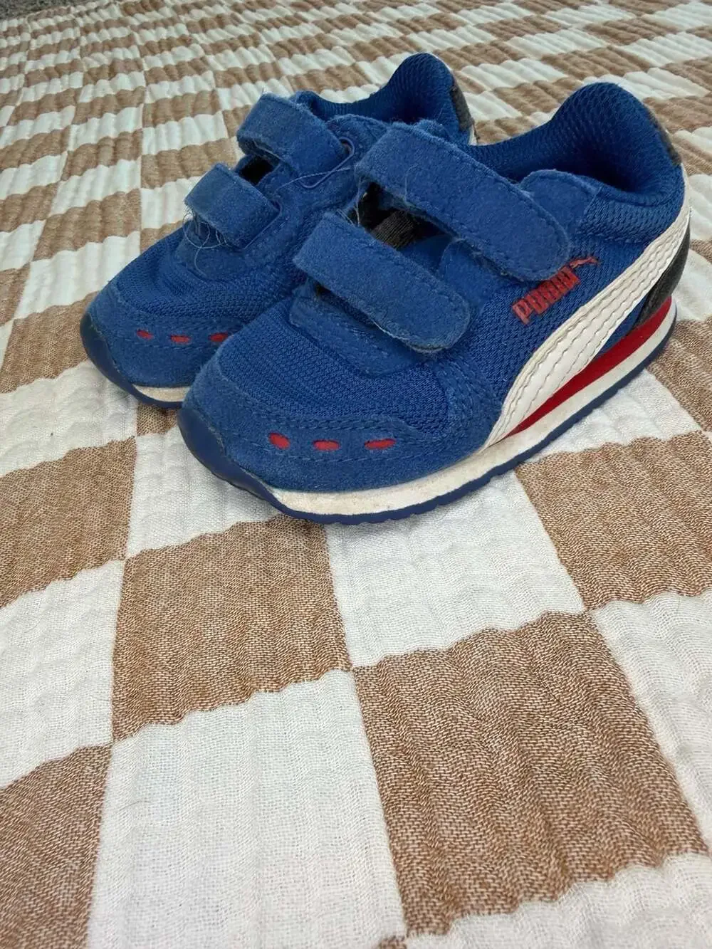Puma blue mesh
