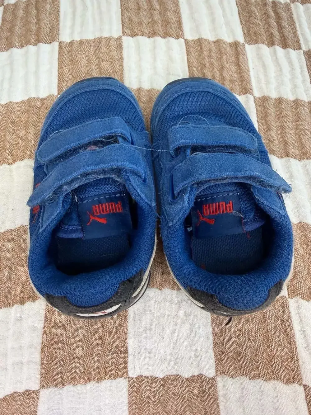 Puma blue mesh