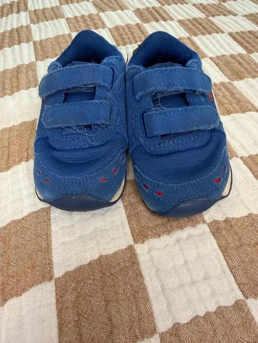 Puma blue mesh