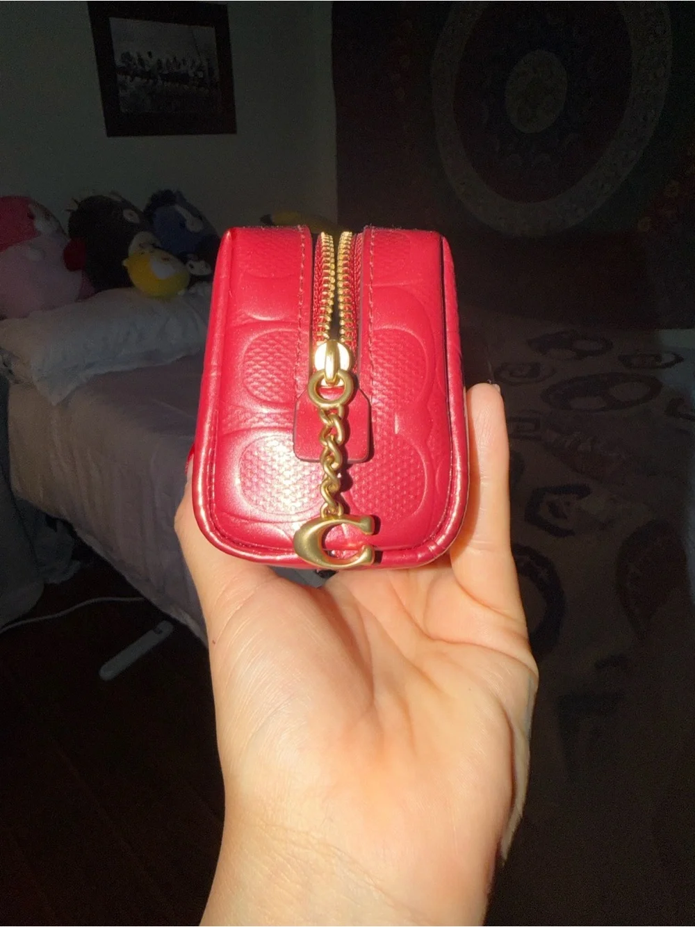 Coach brand new