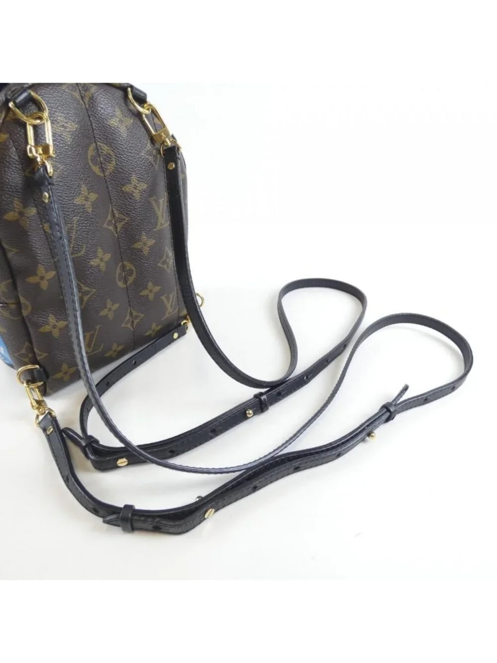 Louis Vuitton brand louis