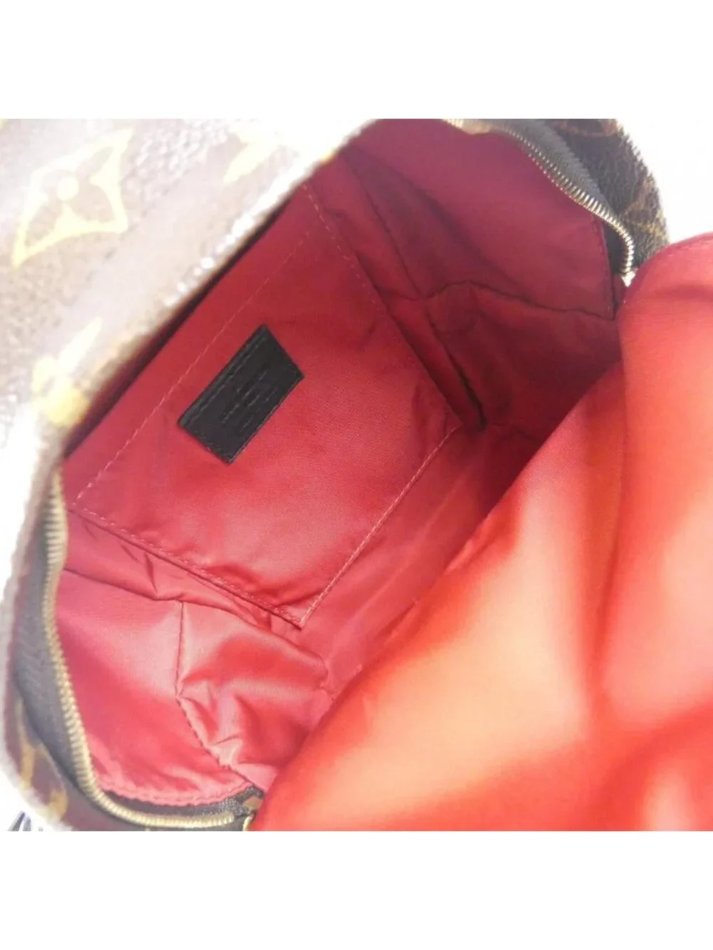 Louis Vuitton brand louis