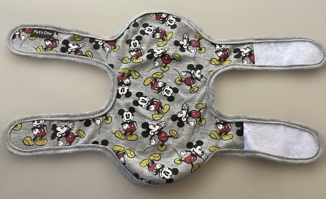 Petz One Mickey Mouse Manner Holder, Boys, M Size