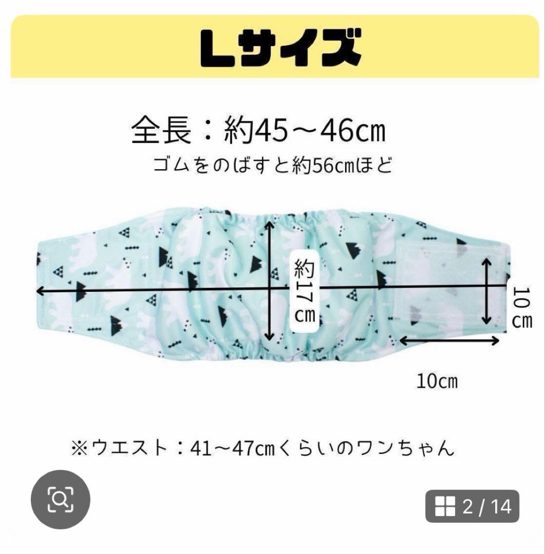Manner Belt, Size L