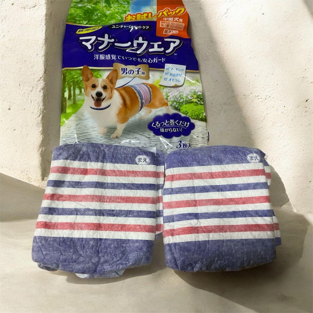 Striped Diaper Covers for Medium-Sized Dogs (2-Pack) - Trial Pack for Male Dogs