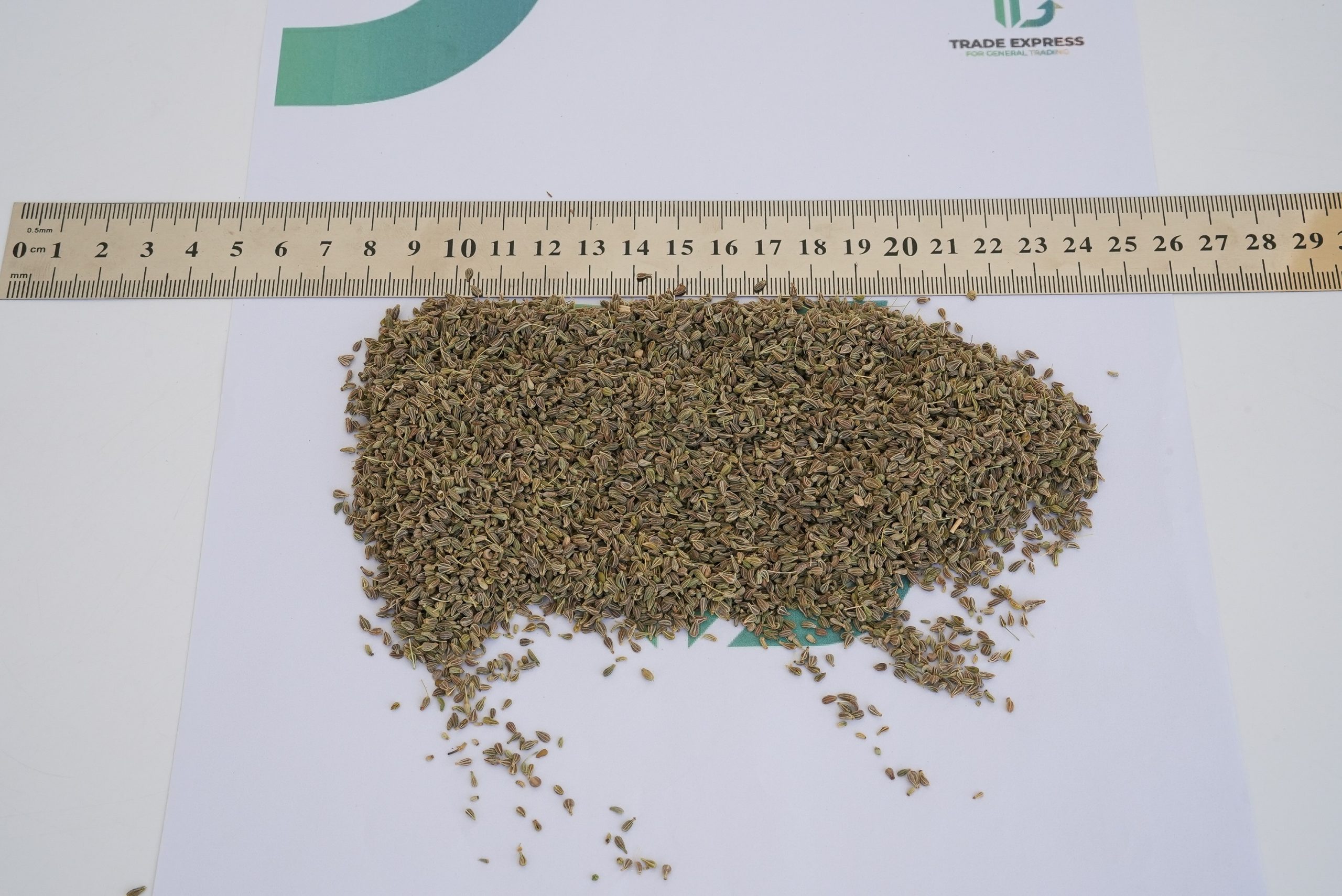 ANISE - Image 3