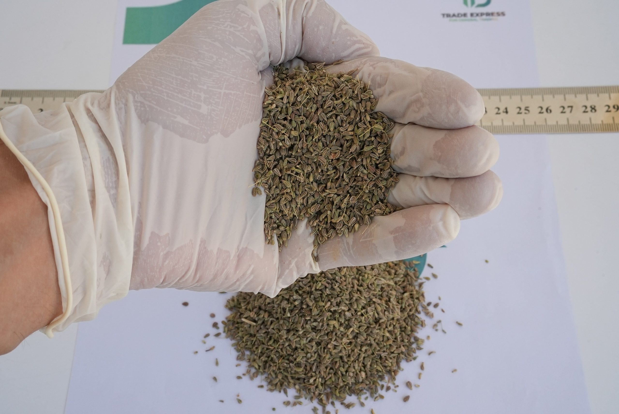 ANISE - Image 2