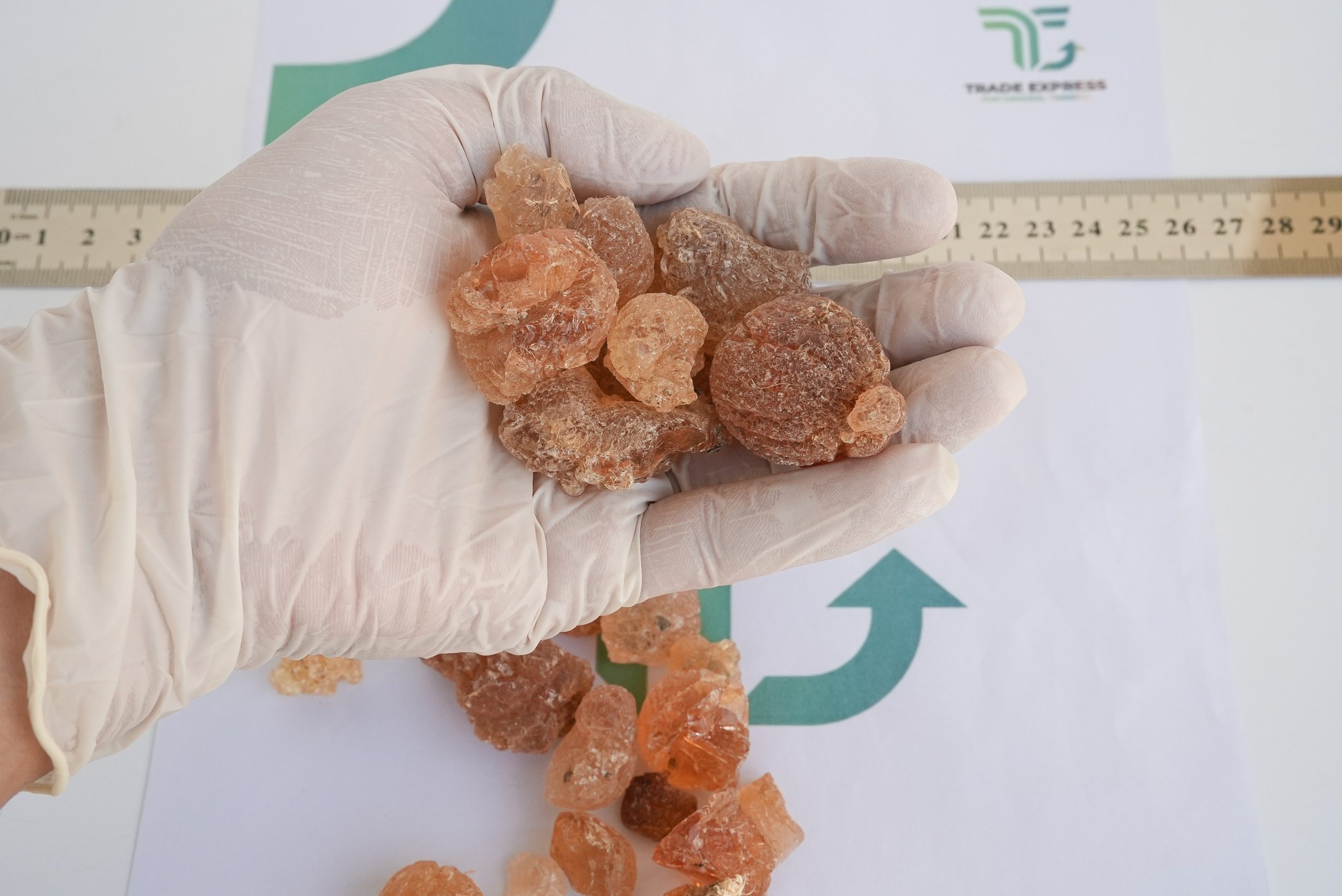 ARABIC GUM - Image 2