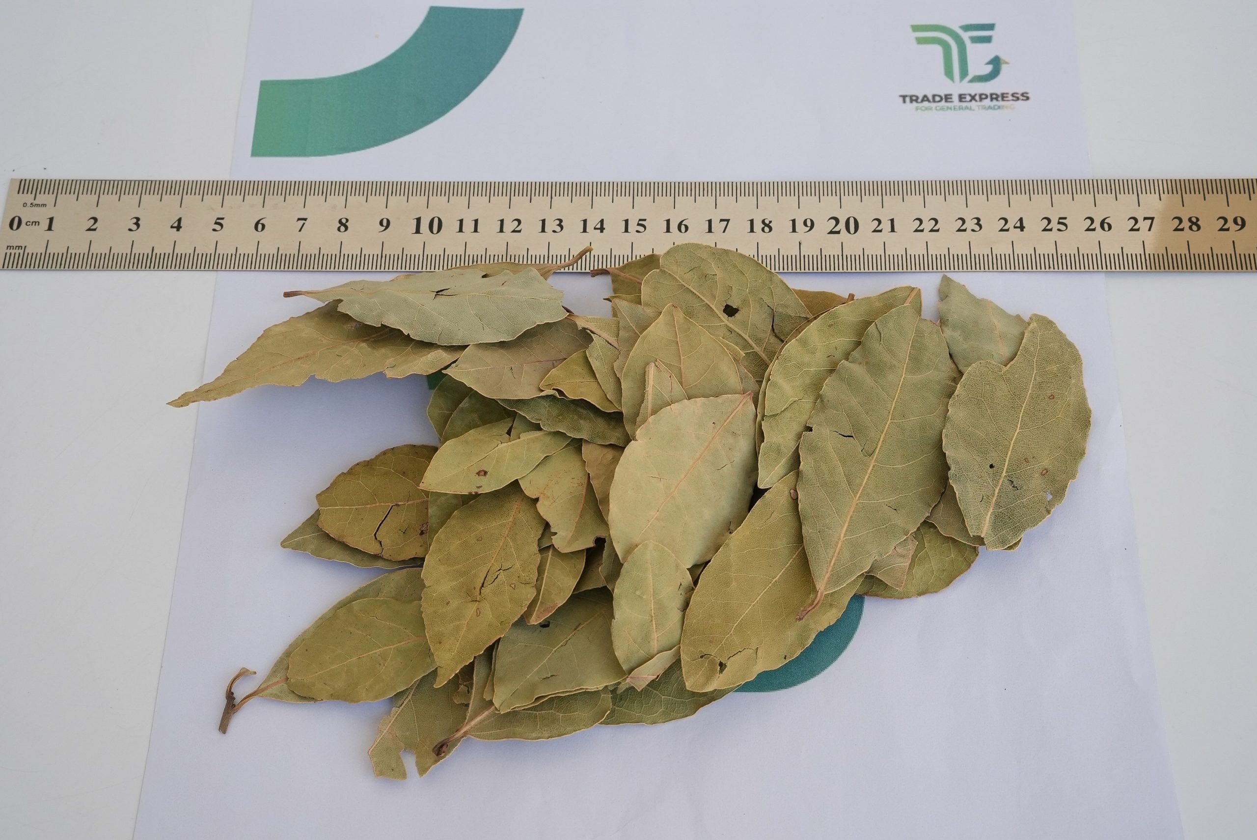BAY LEAVES - Image 3
