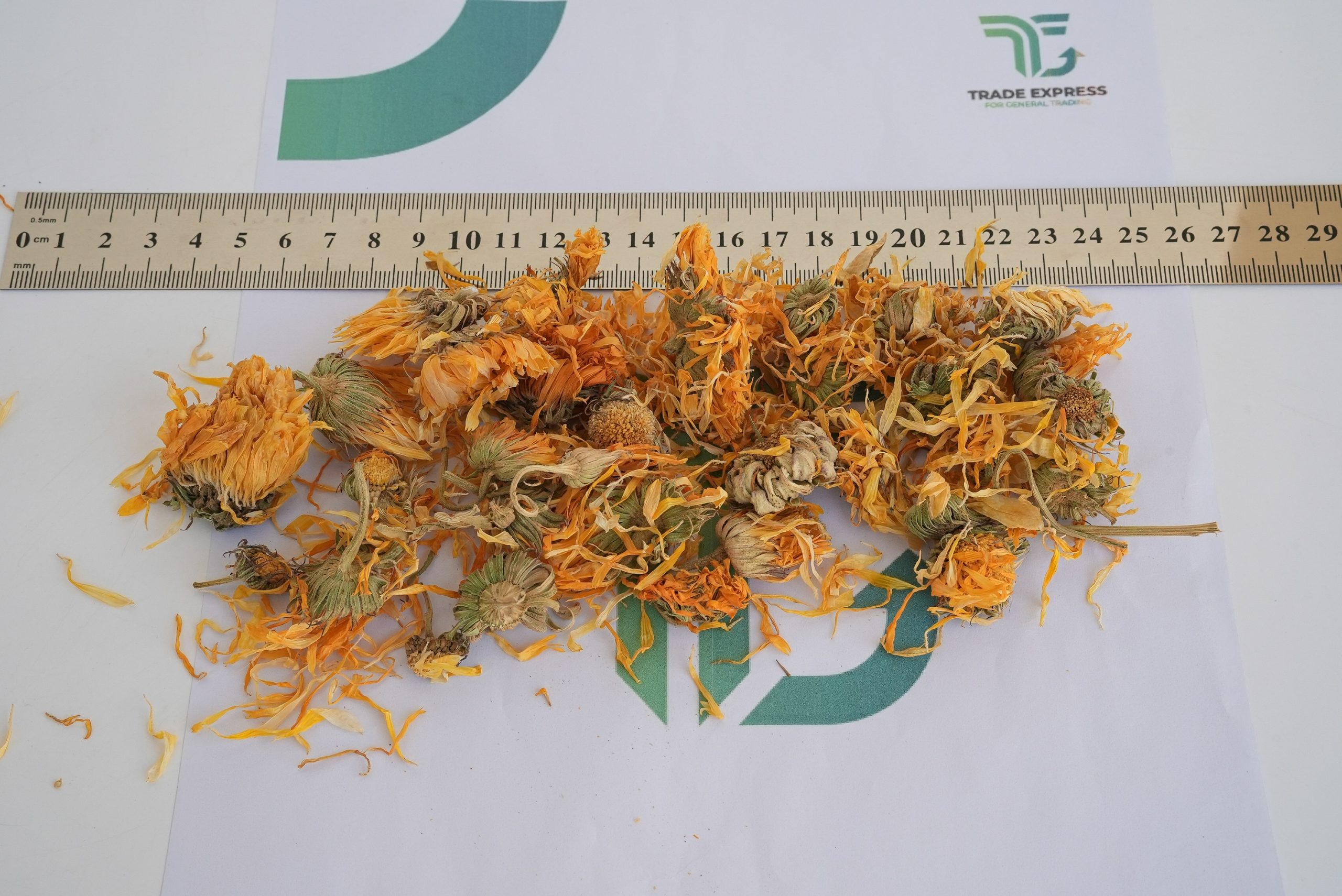 CALENDULA - Image 4