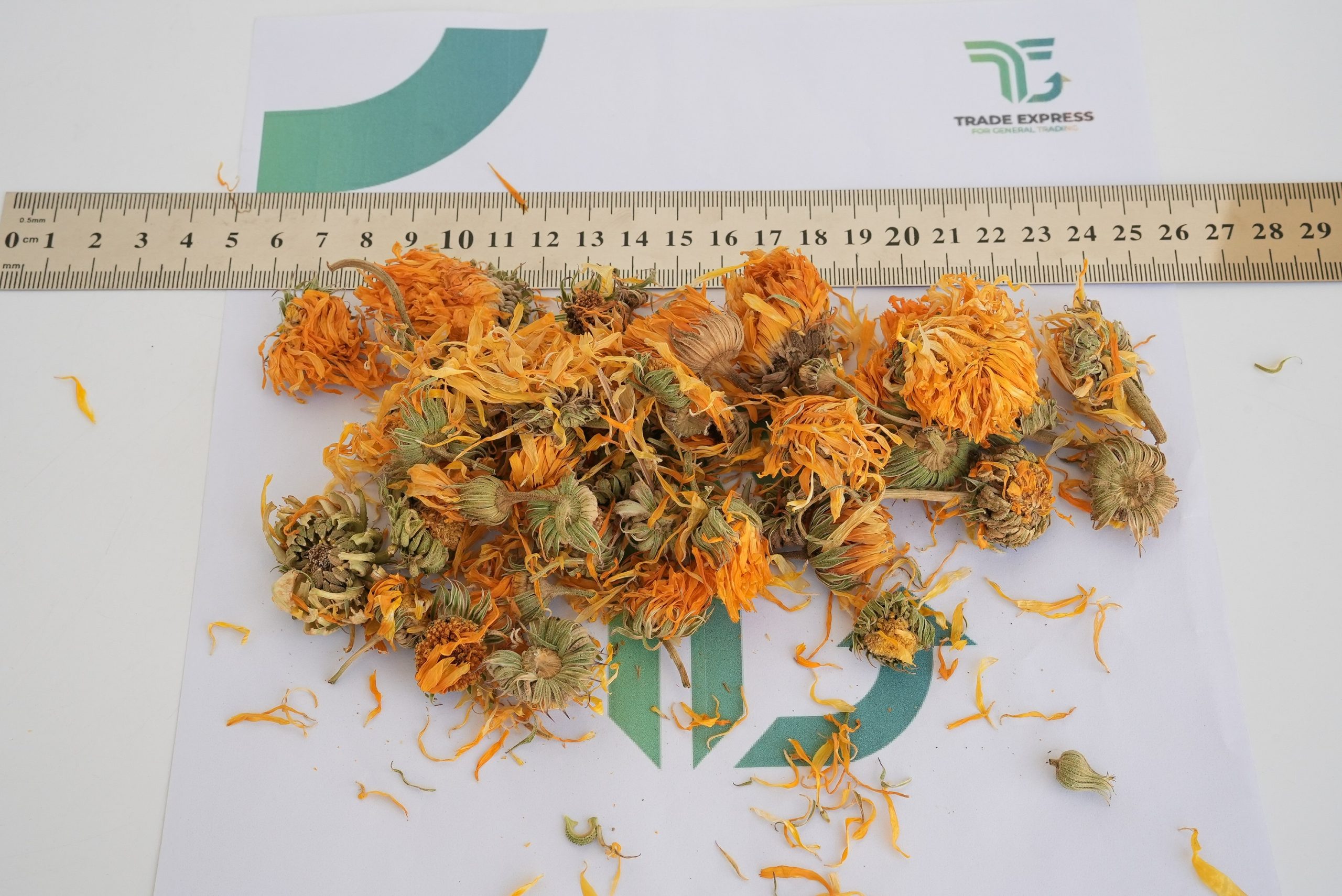 CALENDULA - Image 3