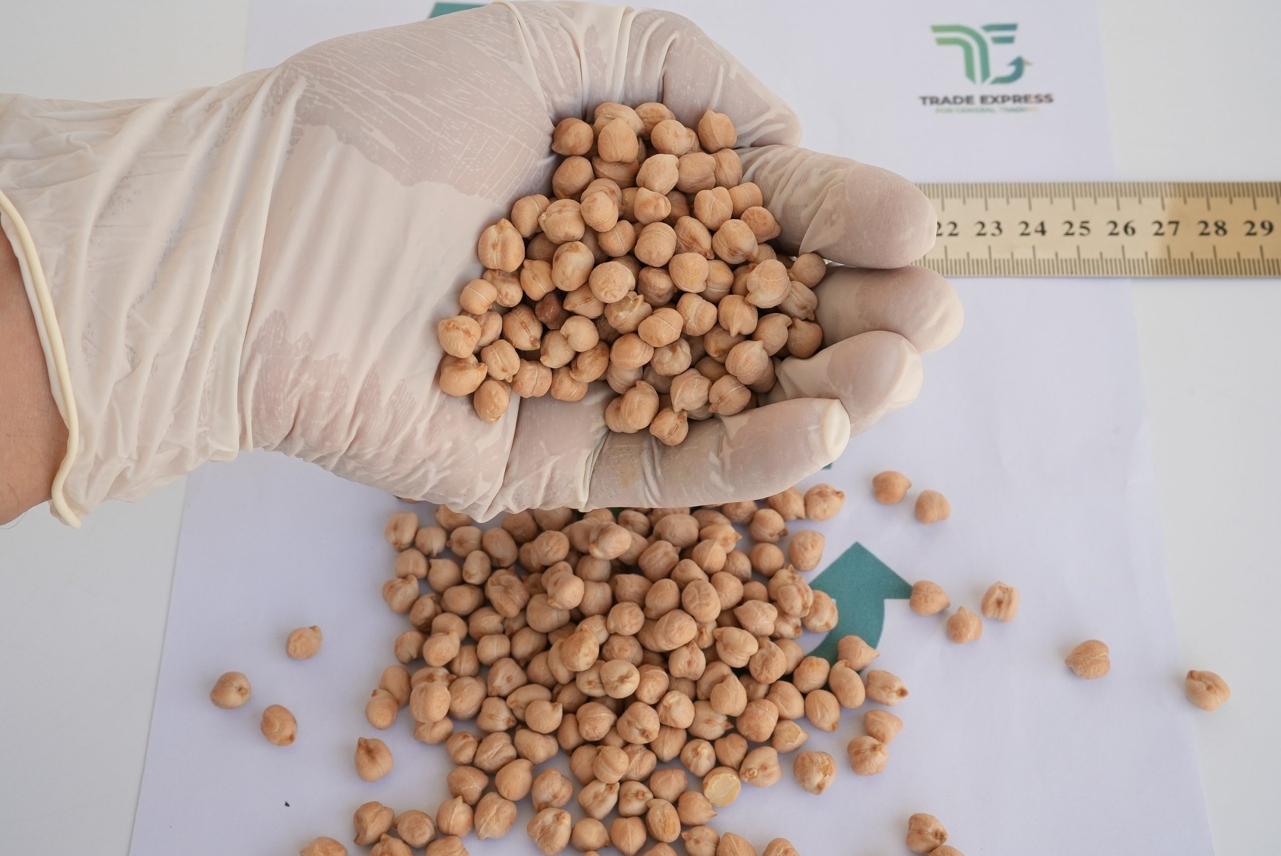 CHICKPEAS - Image 2