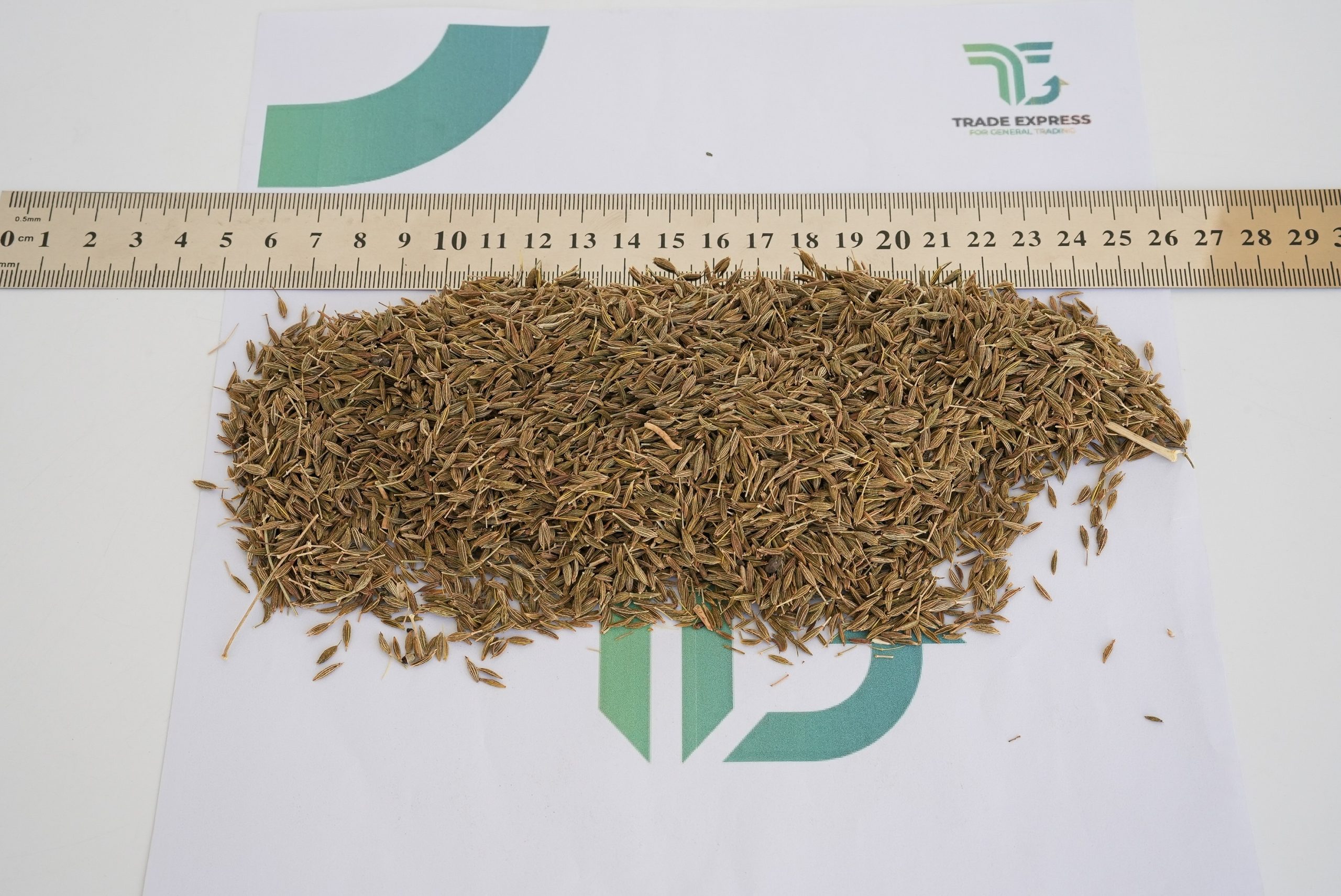 CUMIN - Image 3